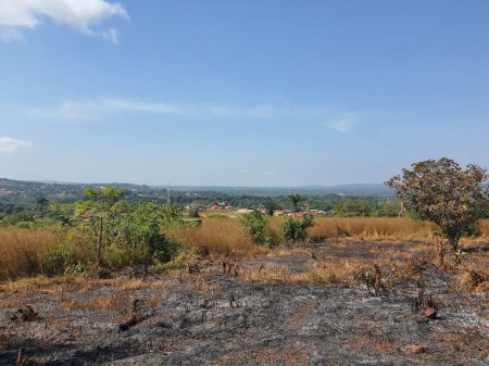 IMG-20211119-WA0019 IMG-20211119-WA0019