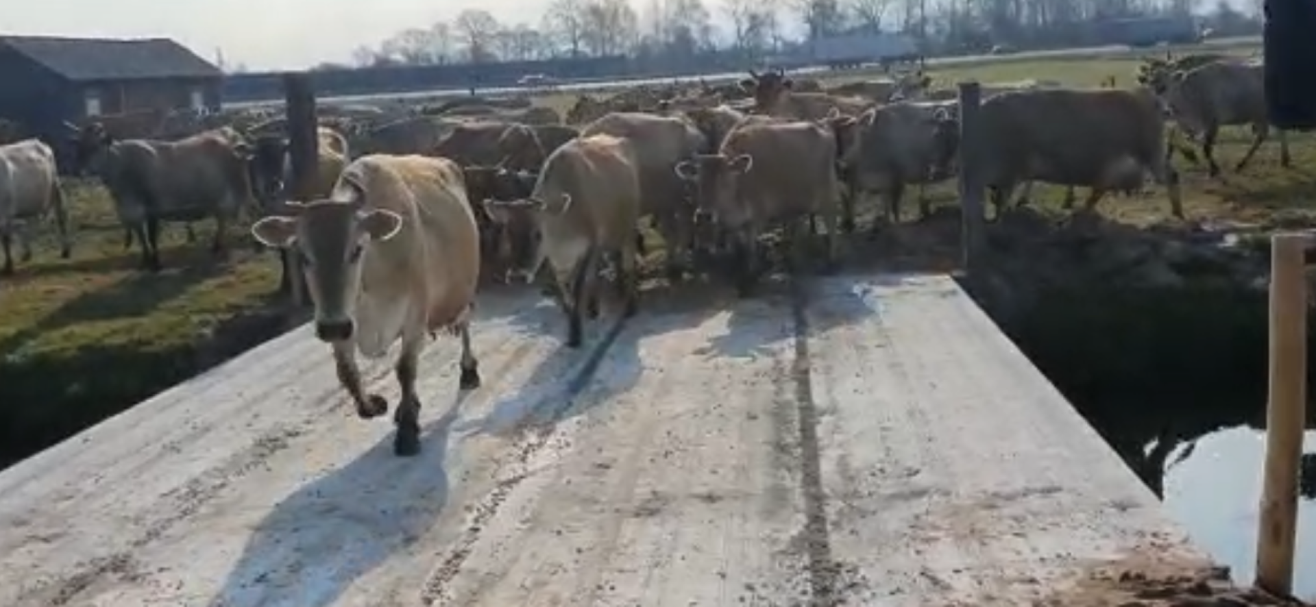 Nieuwbouw betonnen loopbrug te Lunteren