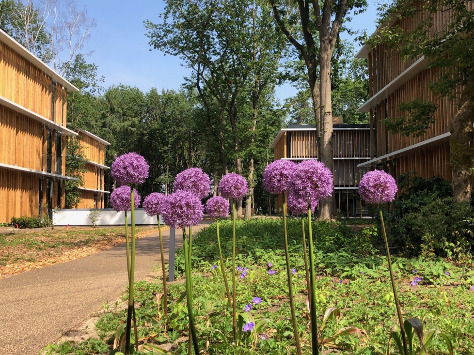 Nieuwbouw 4 kantoor paviljoens te Ede