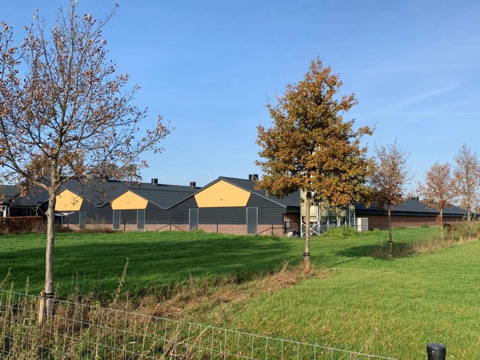 Nieuwbouw/renovatie kippenstal Lunteren