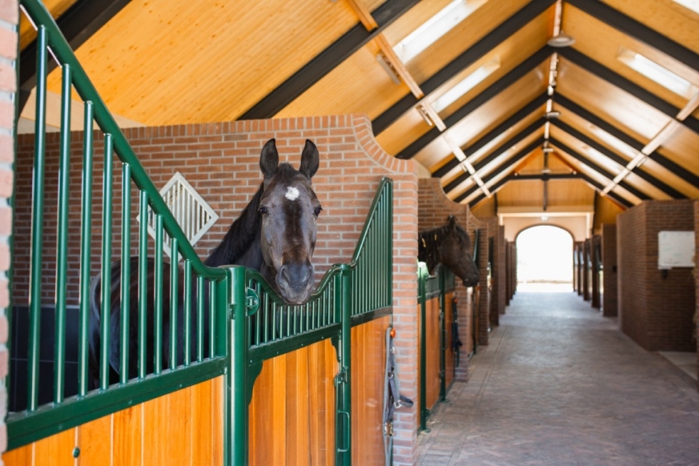 Nieuwbouw paardenmanege te Voorthuizen